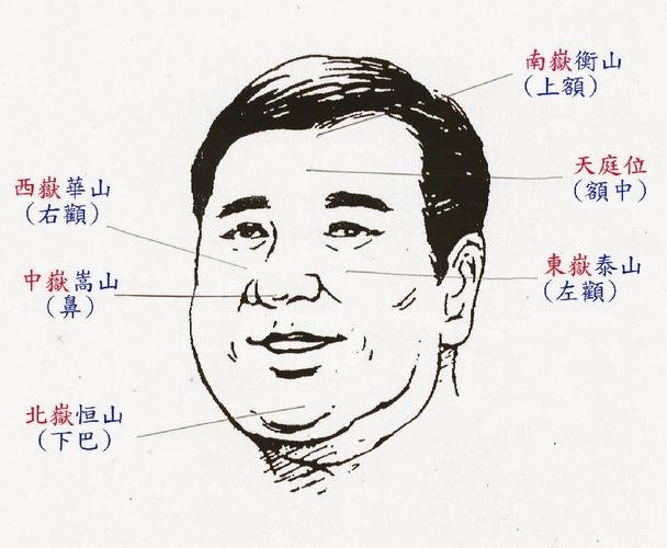 什么面相更易得领导器重?