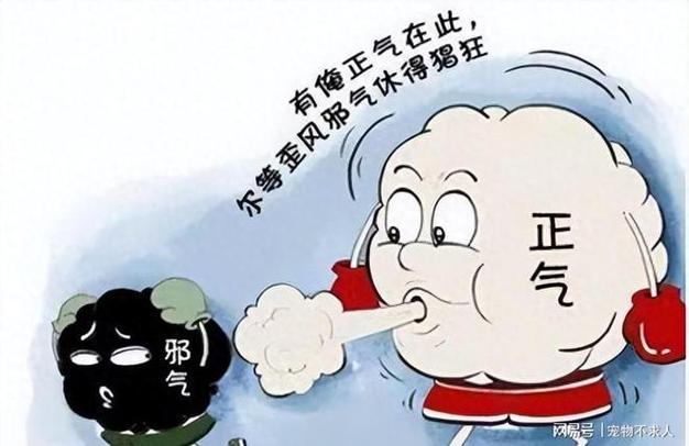 女人身上有邪气的表现