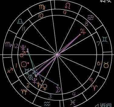 米开朗基罗星座命盘