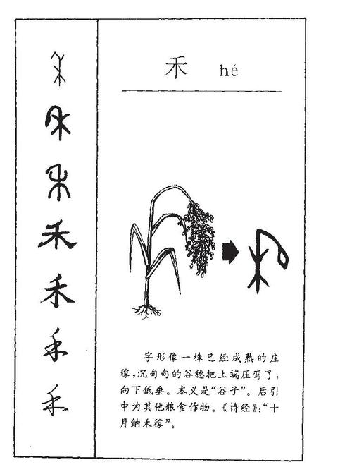 禾字旁的字有哪些吉利可以取名