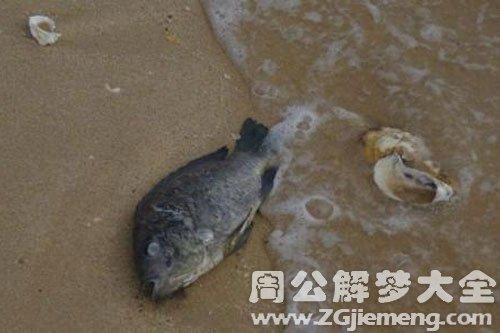 梦见河里的鱼死了