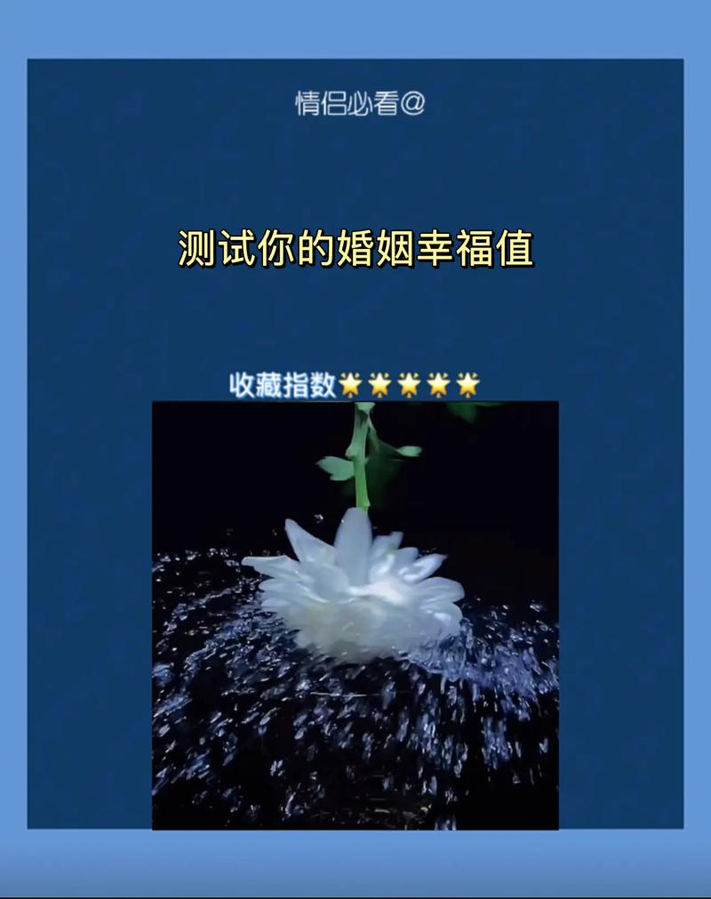 测我的婚姻会幸福吗