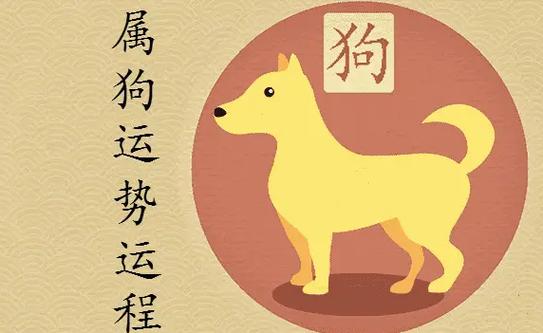 属狗男命者2023年财运运势