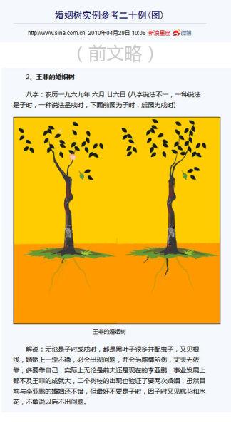 婚姻树虫子多是克夫命吗
