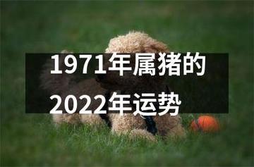 1971年属猪人2022年运势及运程