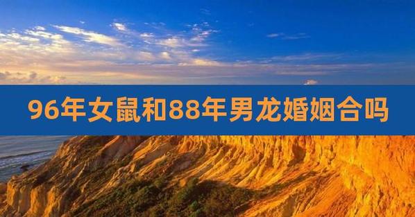女鼠男龙相配吗?男龙会如何面对另一半出轨的?