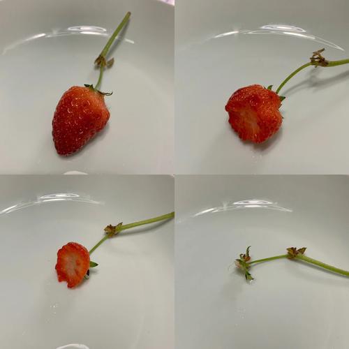 草莓的心理学解析