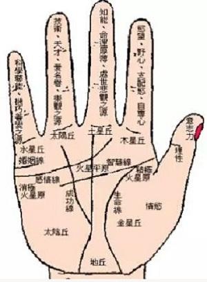 太阴线在哪里,有何含义?