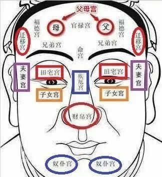 五岳、六府蕴含的命理信息有哪些?