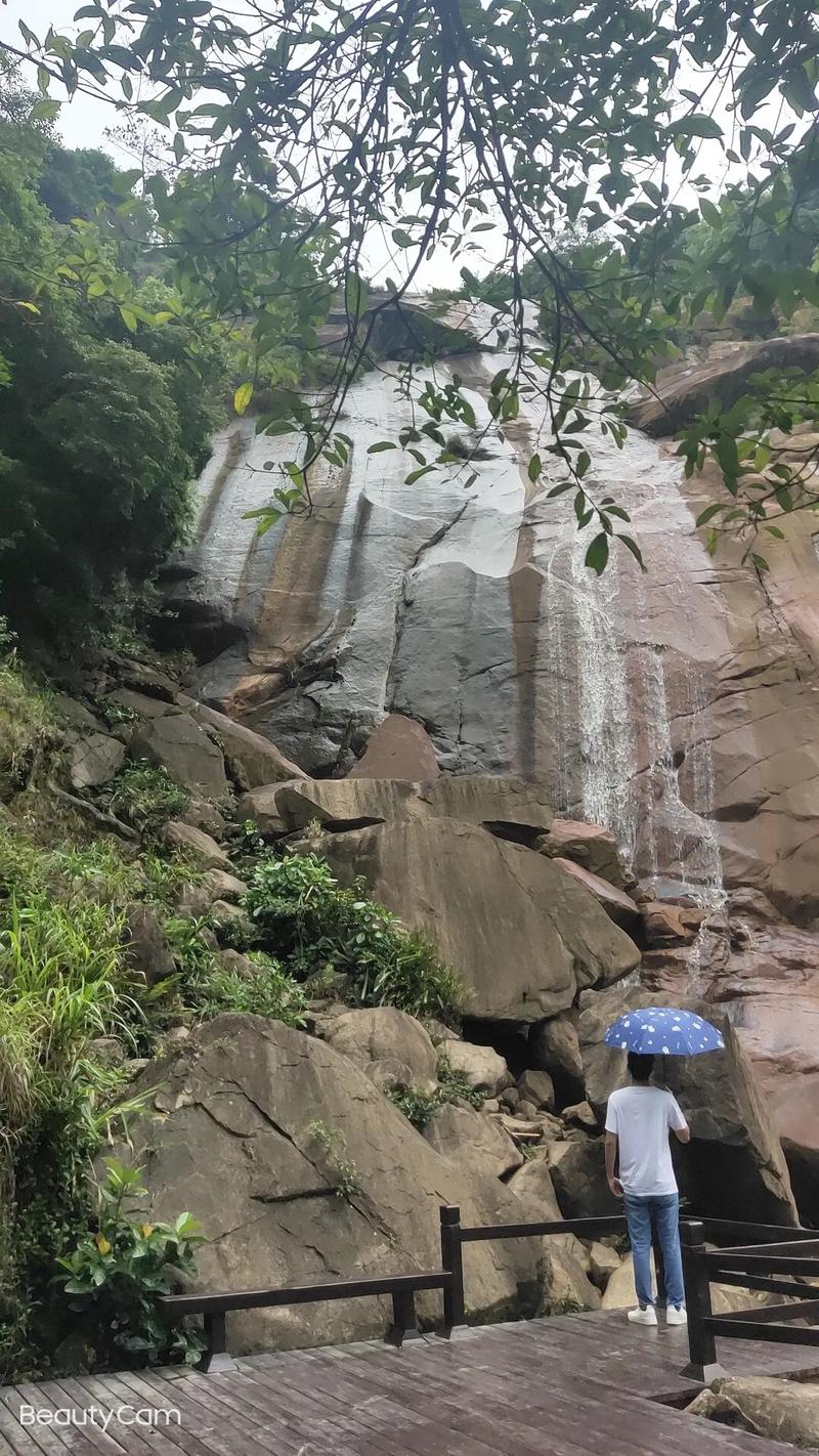 老鼠婚配什么生肖好