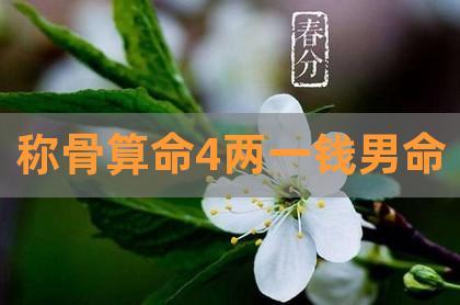4两1钱的男命运解说
