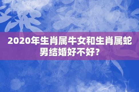 属牛男和属蛇女在2020年鼠年结婚好不好?有什么说法?