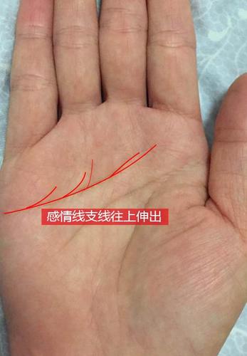 容易陷入三角恋的手相特征