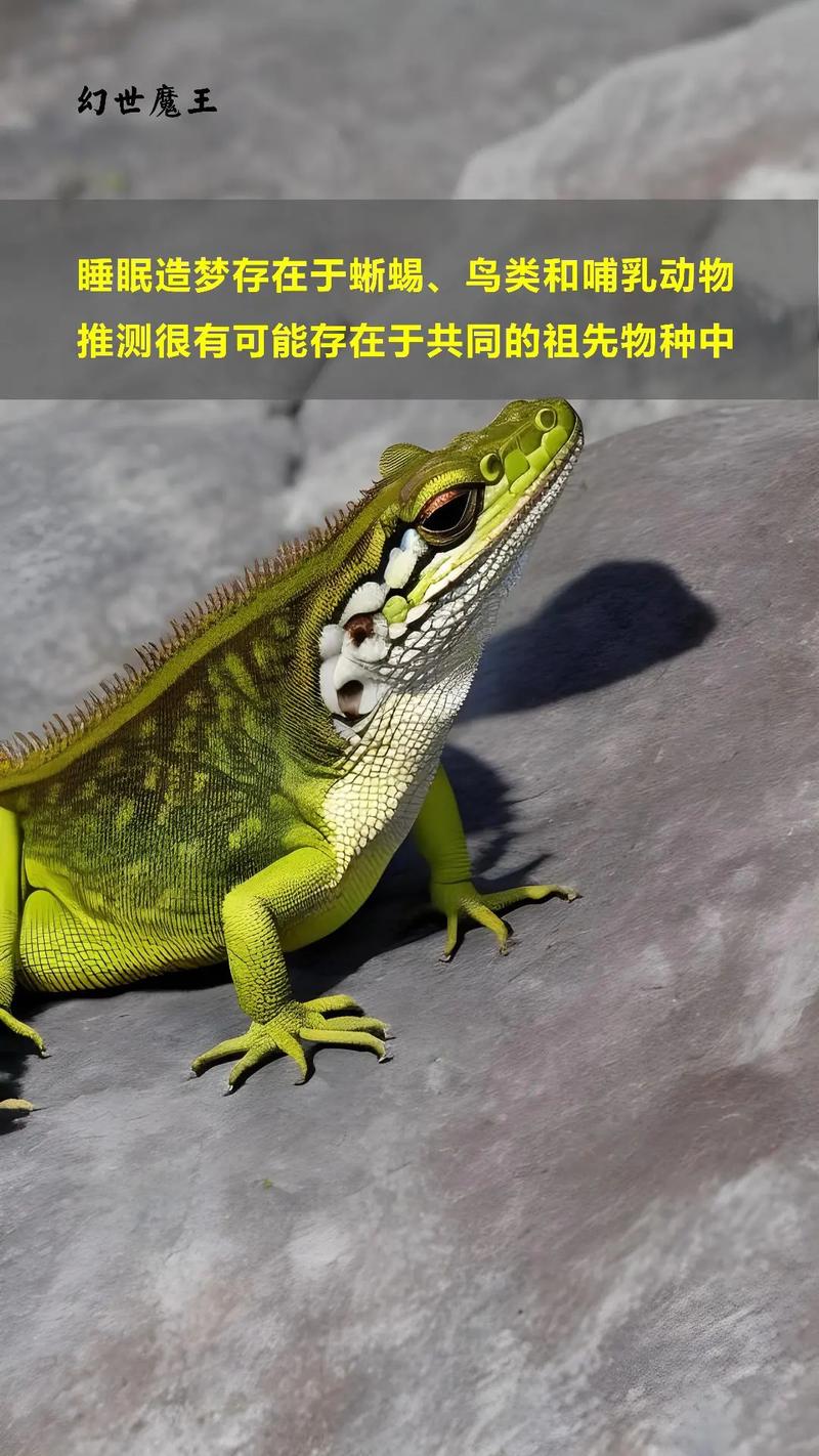 孕妇梦见恐龙生了女儿什么意思