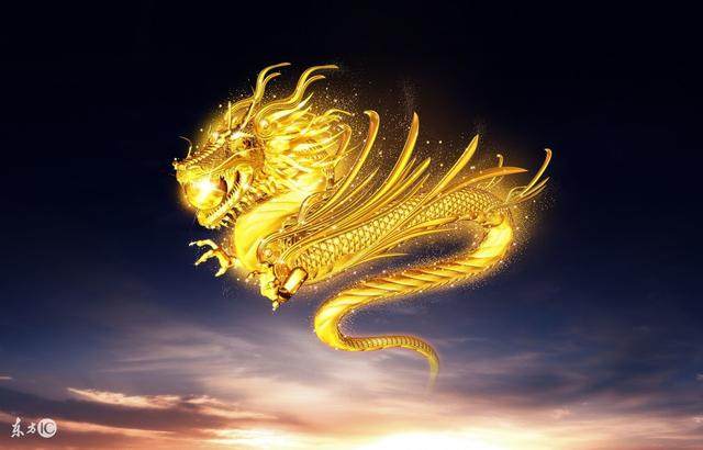 属龙如何让生活变得有趣?