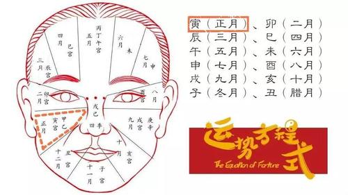 面相图解:小孩面相详解