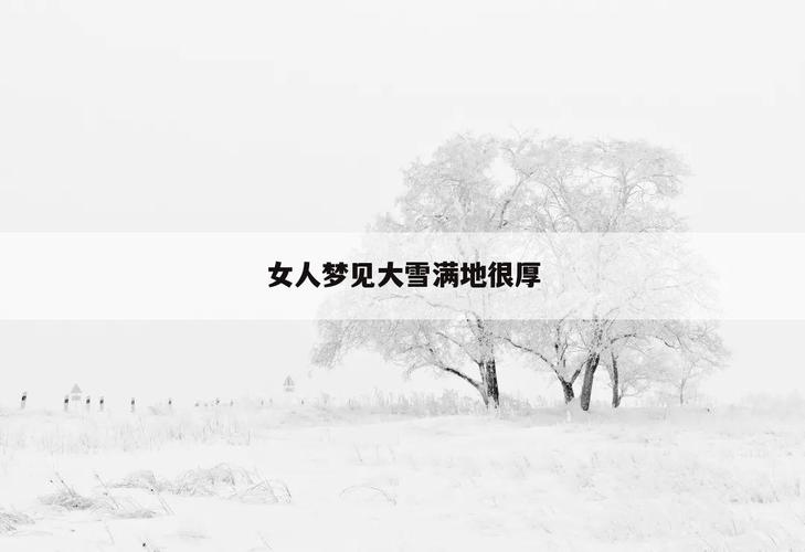 女人梦见地上很厚的雪