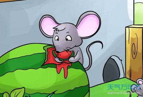 做梦梦见耗子是什么意思