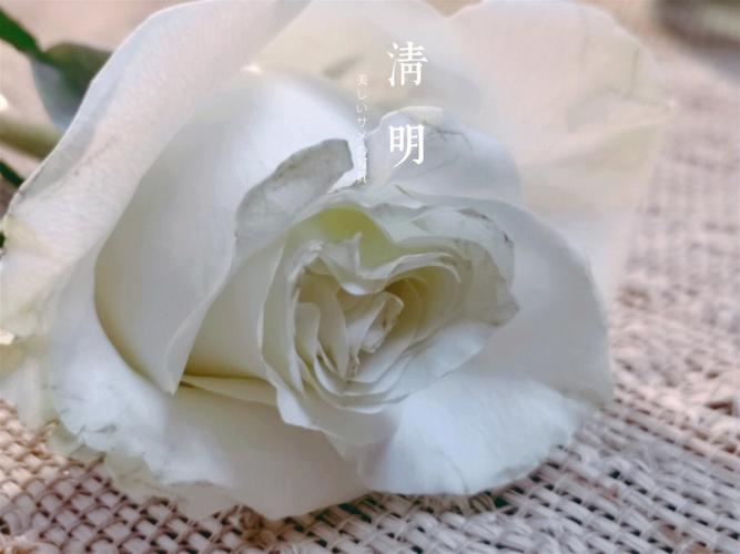 清明节同房有忌讳吗