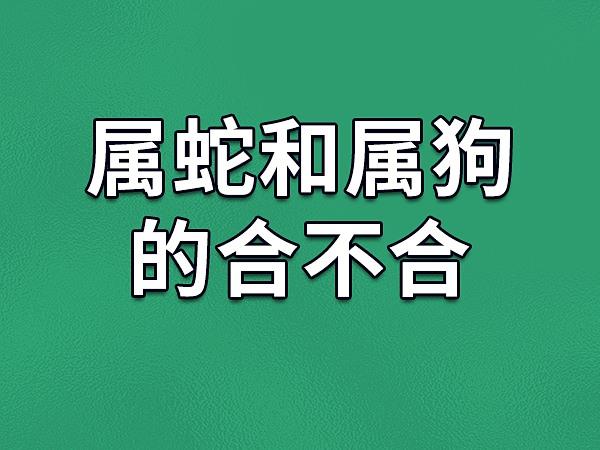 属蛇和什么属相不合,为什么不合?