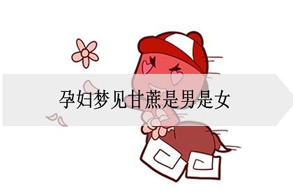 孕妇梦见香蕉是男是女,孕妇梦见甘蔗是男是女
