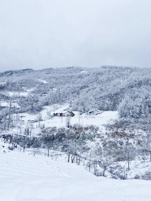 梦见雪景很美