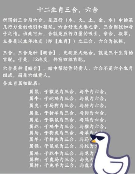 1990年出生是什么命?命好吗?