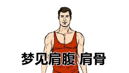 梦见肩腹 肩骨