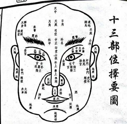 相术的基本原理和面相特征