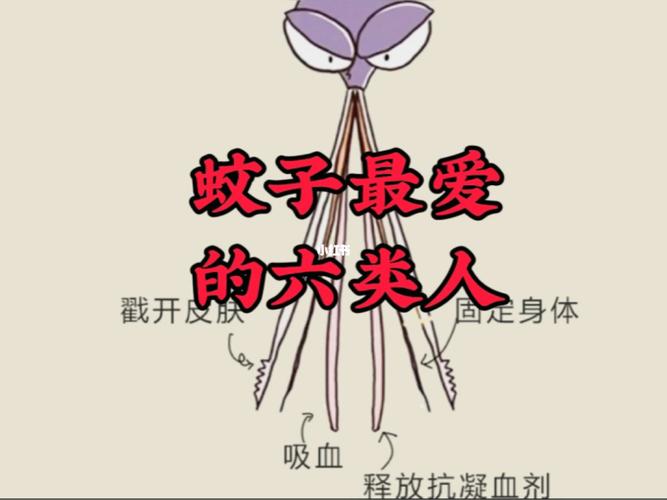 蚊子喜欢叮哪种人