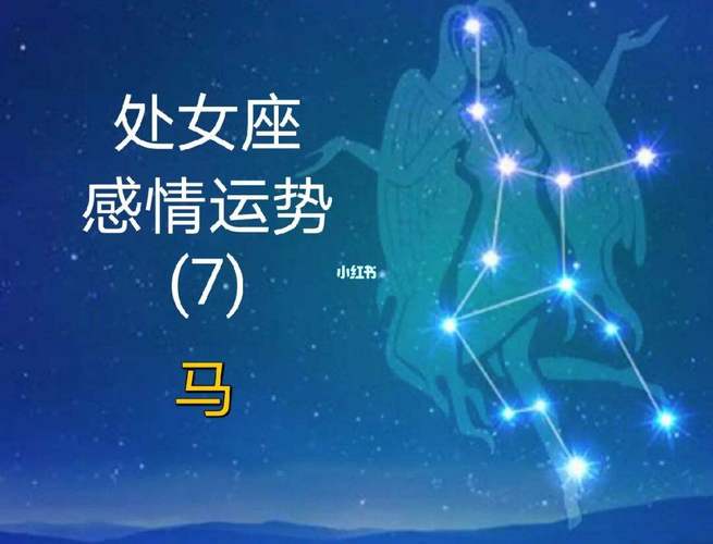 唯一能读懂巨蟹的星座,处女座最懂得