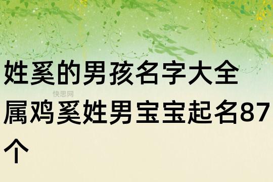 属鸡的奚姓男宝宝名字