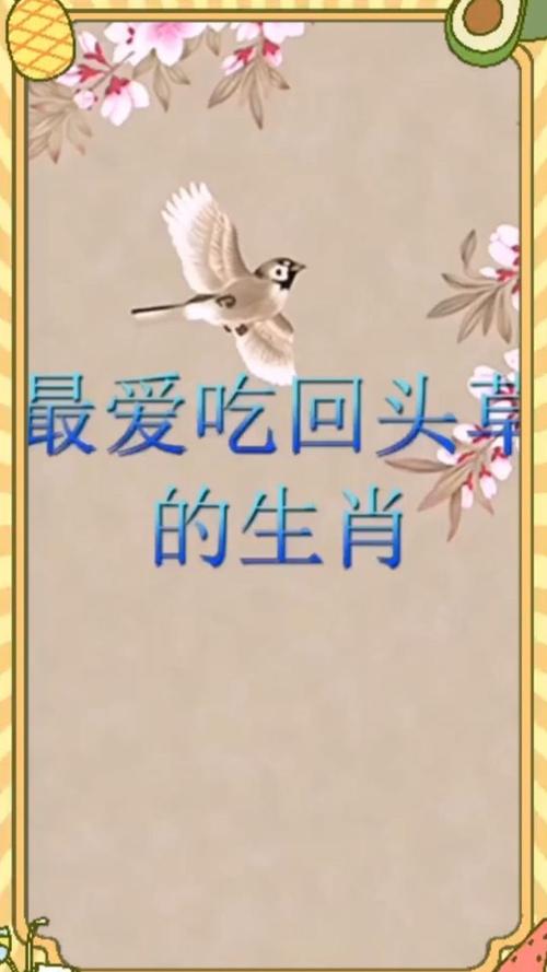 爱吃回头草的生肖