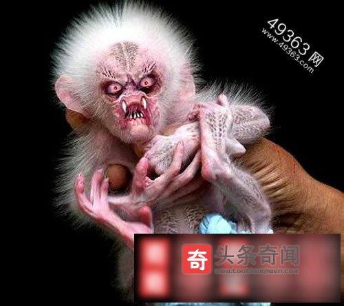 水猴出生在哪一年