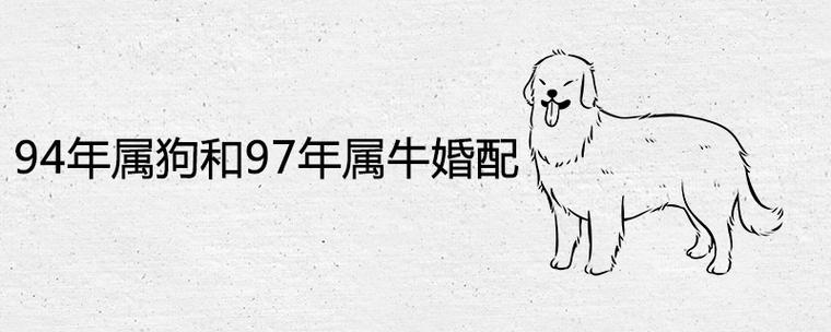 94年属狗男的和97年属牛女的相配相冲吗