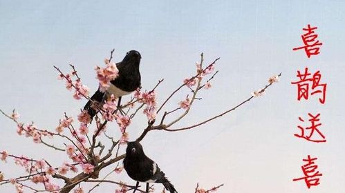 接下来前有贵人靠,后有喜鹊叫,4星座运走上坡路