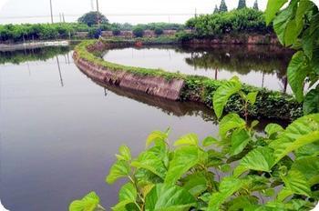 梦见水塘、鱼塘 周公解梦之梦到水塘、鱼塘