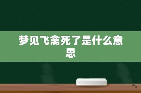 梦见飞禽死了是什么意思