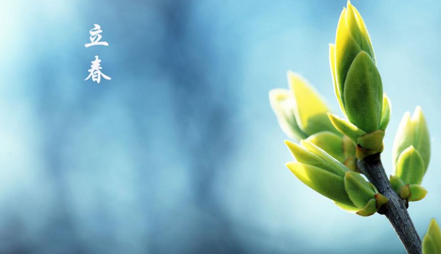 立春出生的蛇女怎么样