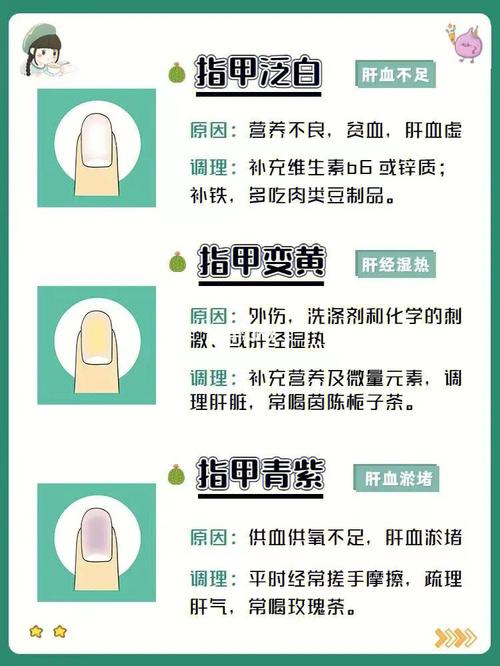指甲透视你的健康状态