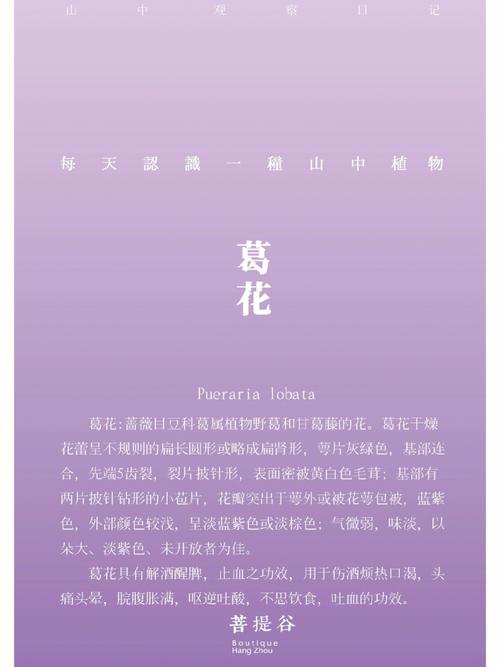 葛花树种院子里好不好?