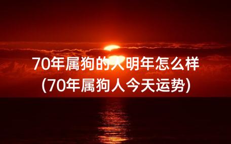 属狗2018年国庆节运势预报