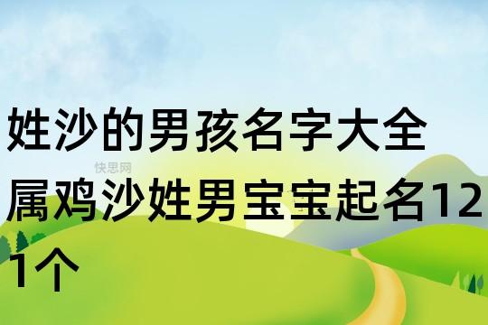 鸡年沙姓男孩大气响亮的名字