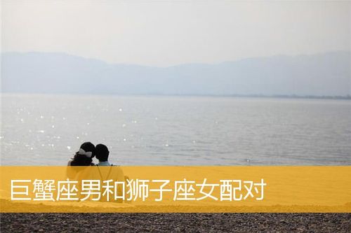 狮子座男生和巨蟹座女生配对