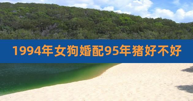 94狗和95猪合不合