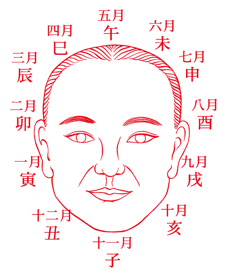 有可能成名的面相特征
