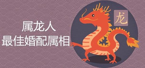 属龙人婚姻最佳配偶,与鸡、鼠、猴搭配最佳