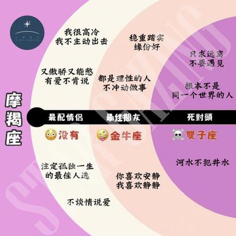 摩羯十二星座情感分析