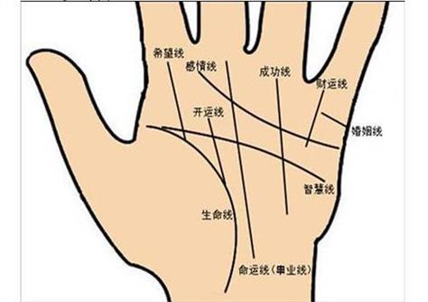 手相从五个方面命运富贵层次