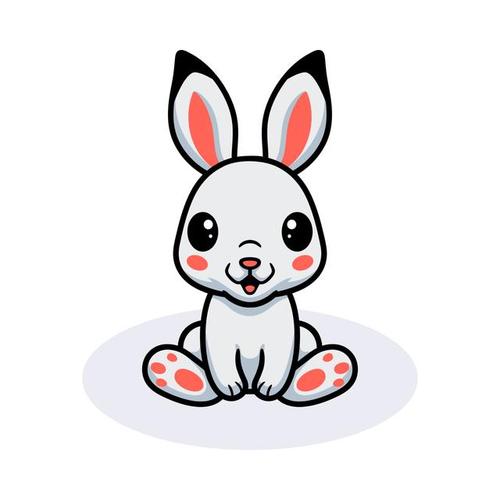董易姗2018年生肖兔运势